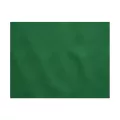 Set de table TNT 60g/m 30x40cm  Vert